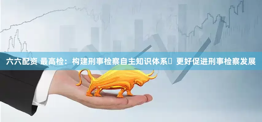六六配资 最高检：构建刑事检察自主知识体系 更好促进刑事检察发展