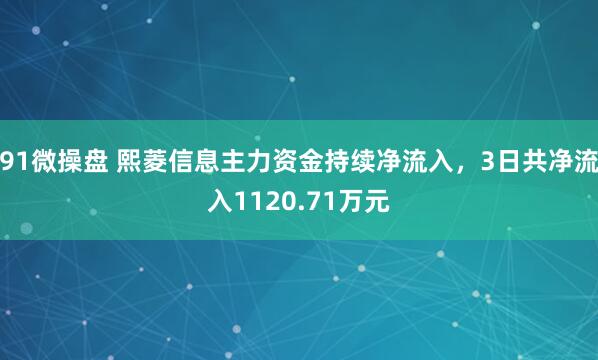 91微操盘 熙菱信息主力资金持续净流入，3日共净流入1120.71万元