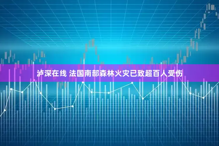 泸深在线 法国南部森林火灾已致超百人受伤