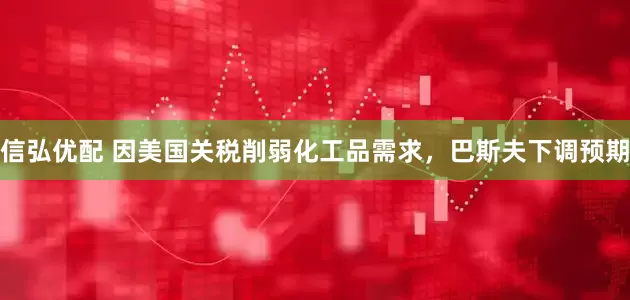 信弘优配 因美国关税削弱化工品需求，巴斯夫下调预期