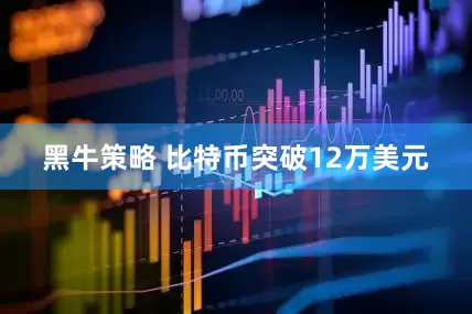 黑牛策略 比特币突破12万美元
