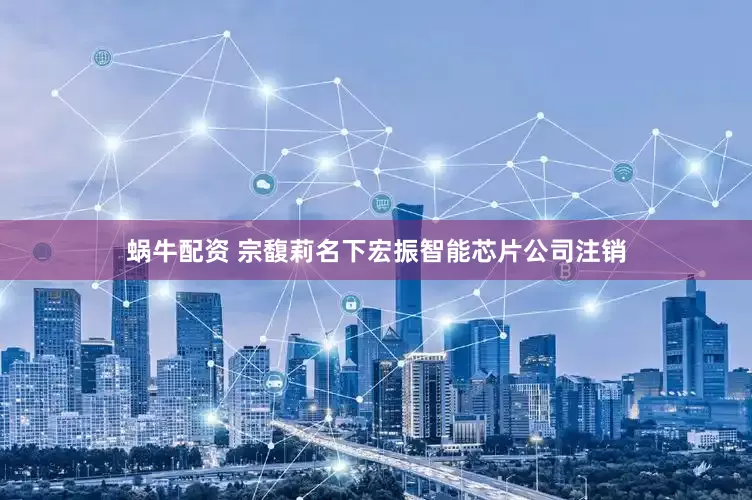 蜗牛配资 宗馥莉名下宏振智能芯片公司注销