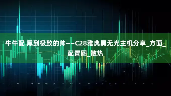 牛牛配 黑到极致的帅——C28雅典黑无光主机分享_方面_配置图_散热