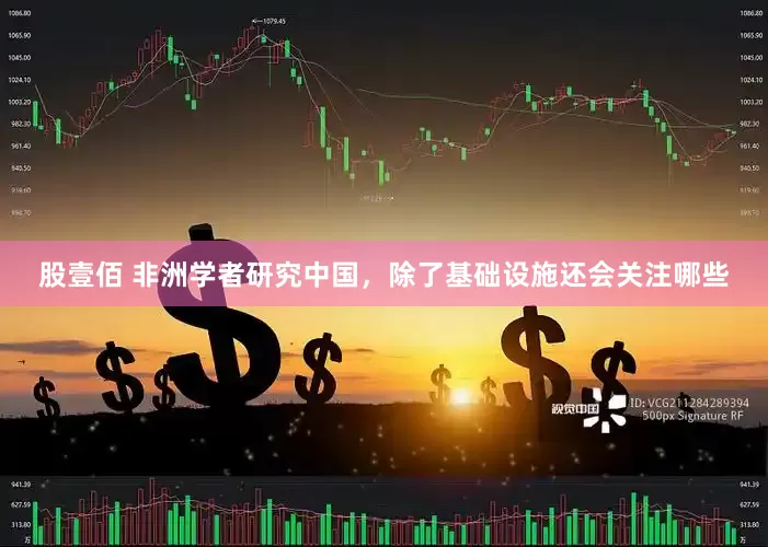 股壹佰 非洲学者研究中国，除了基础设施还会关注哪些