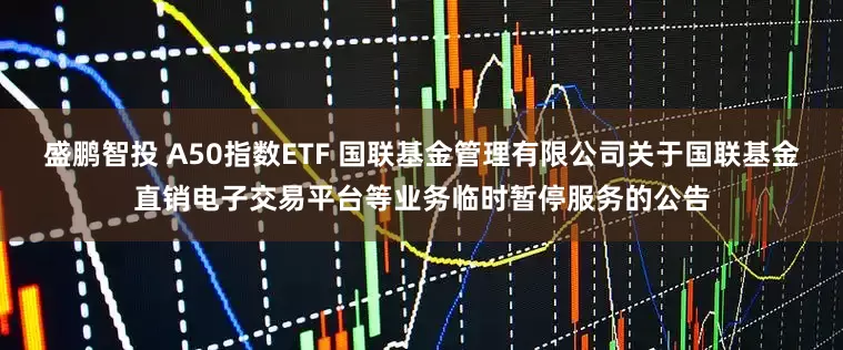 盛鹏智投 A50指数ETF 国联基金管理有限公司关于国联基金直销电子交易平台等业务临时暂停服务的公告